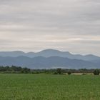 Blick auf die Vogesen