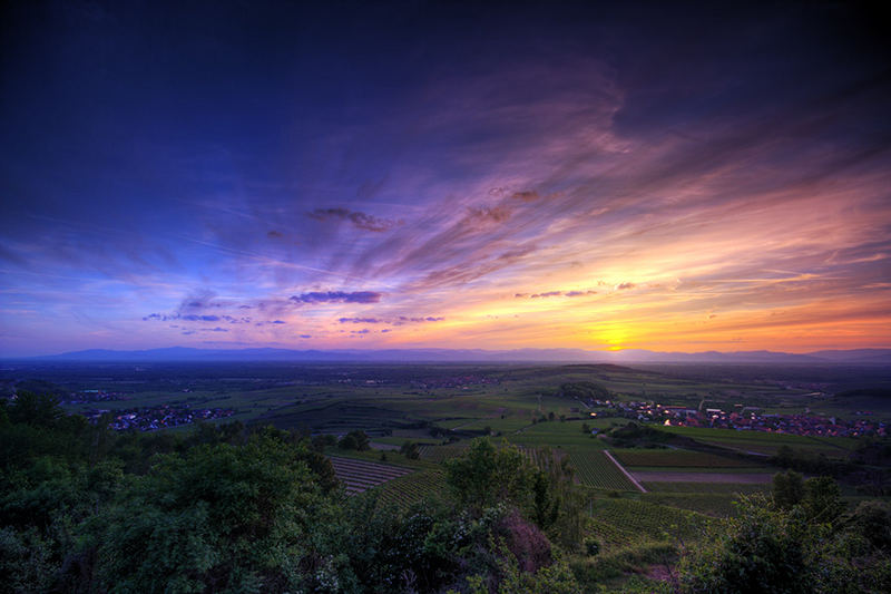 Blick auf die Vogesen