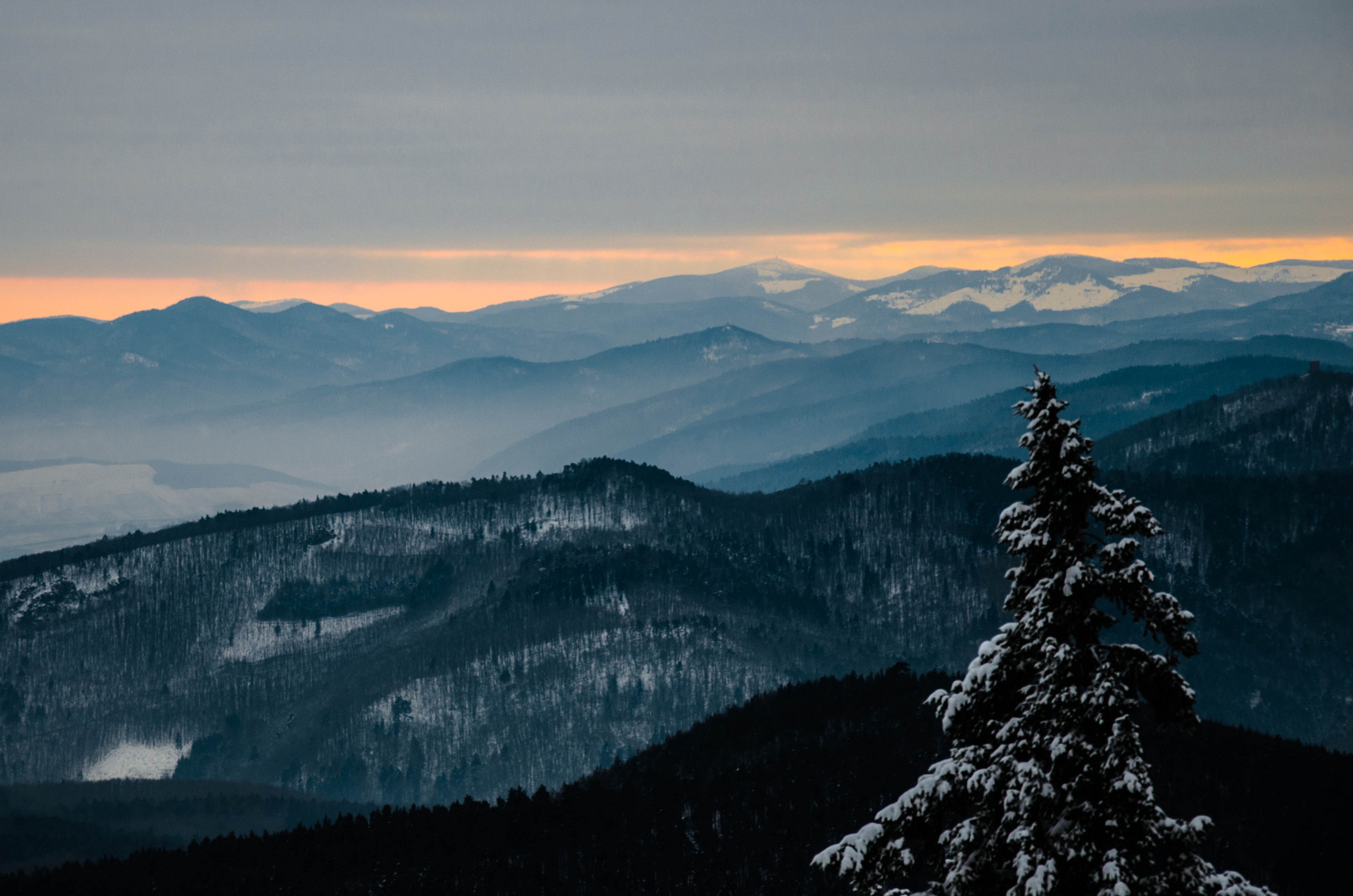 Blick auf die Vogesen