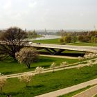 Blick auf die  Waldschlösschenbrücke ...