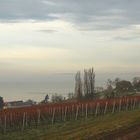 Blick auf die Wallfahrtskirche Birnau