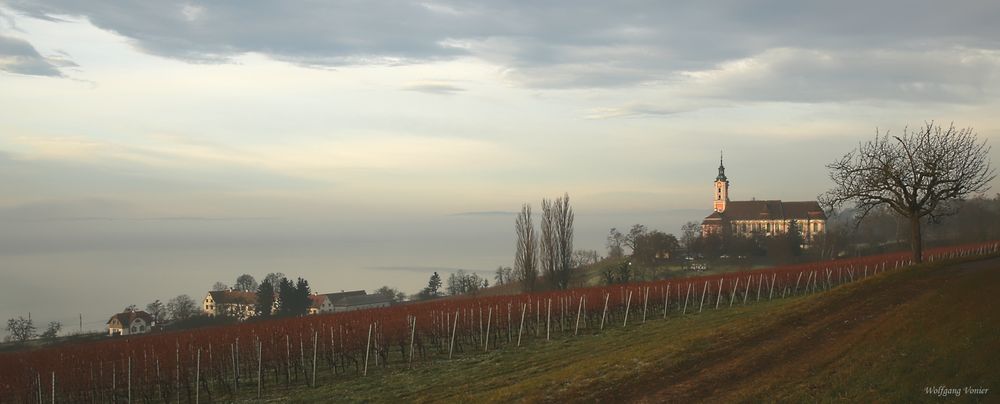 Blick auf die Wallfahrtskirche Birnau