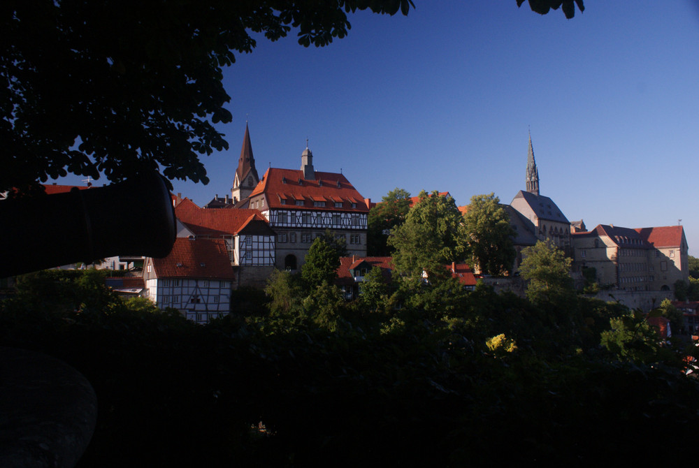 Blick auf die Warburger Neustadt