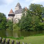 Blick auf die Wasserburg Heidenreichsstein