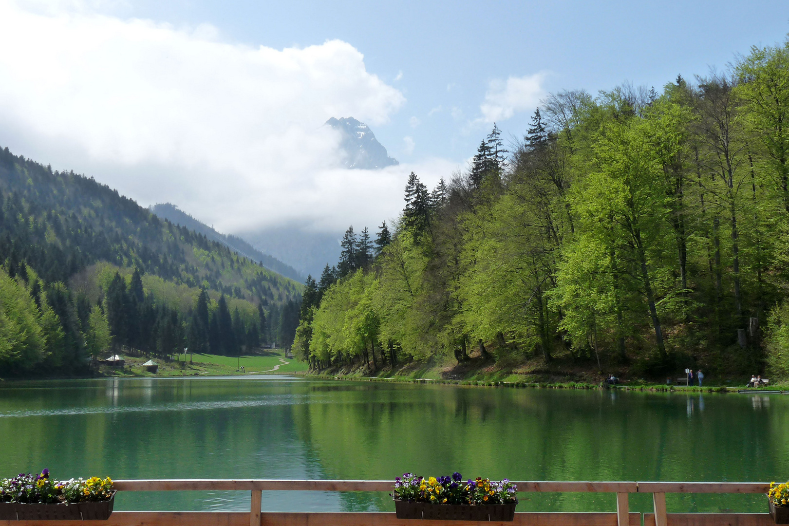 Blick auf die Waxensteine