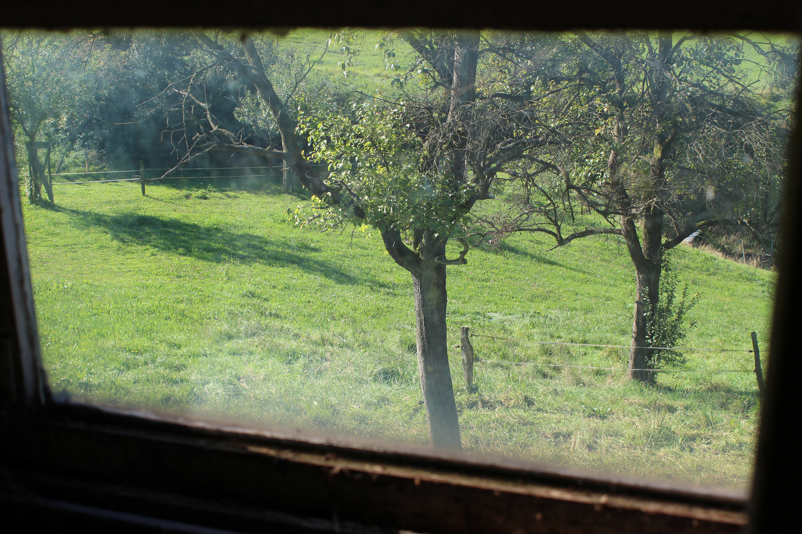 Blick auf die Weide durch das Fenster eines Stalls