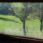 Blick auf die Weide durch das Fenster eines Stalls