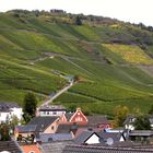 Blick auf die Weinberge