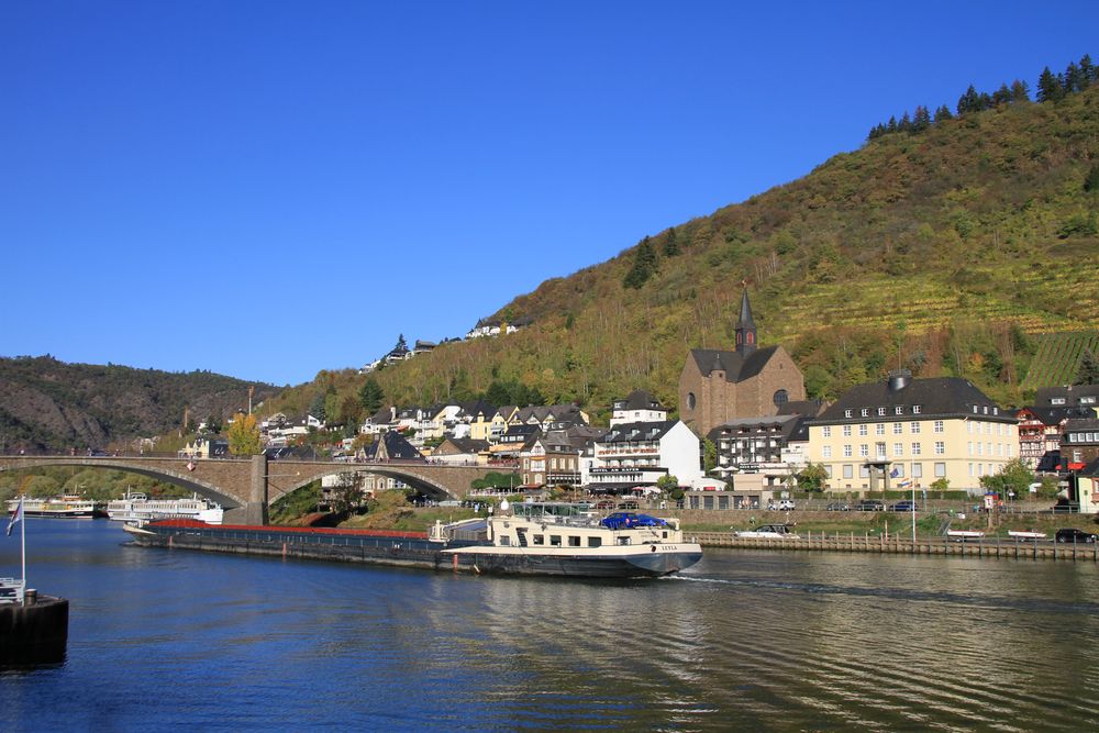 Blick auf die Weinberge bei Cochem (IMG_1992)