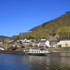 Blick auf die Weinberge bei Cochem (IMG_1992)