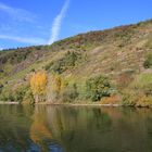 Blick auf die Weinberge im Moseltal