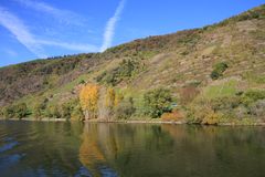 Blick auf die Weinberge im Moseltal