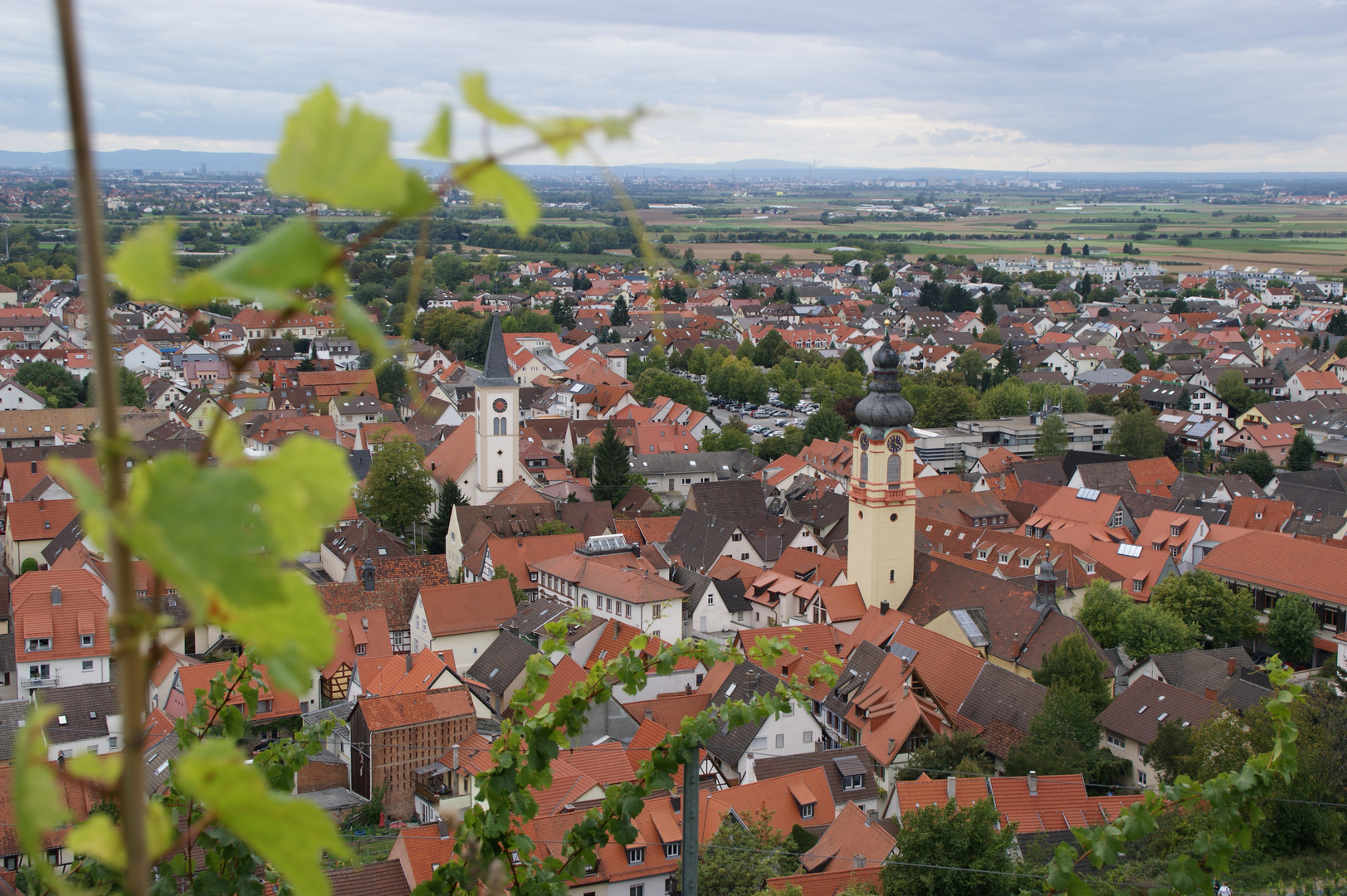 Blick auf die Weinstadt Schriesheim an der Bergstraße.