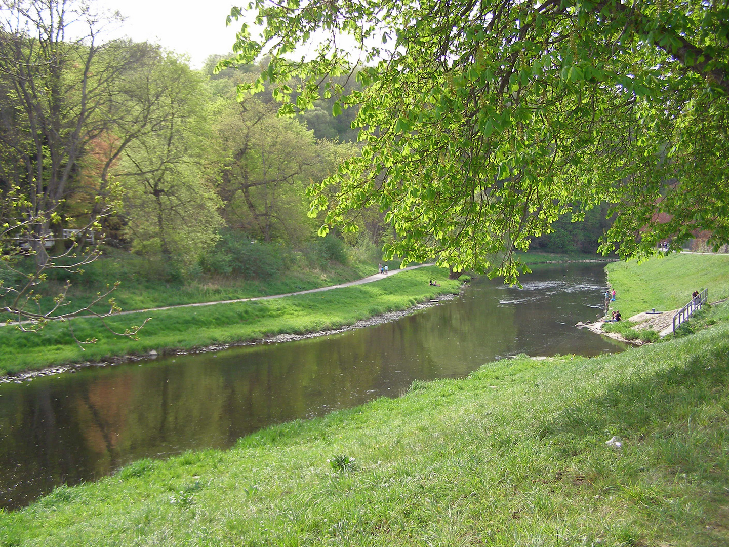 Blick auf die weiße Elster