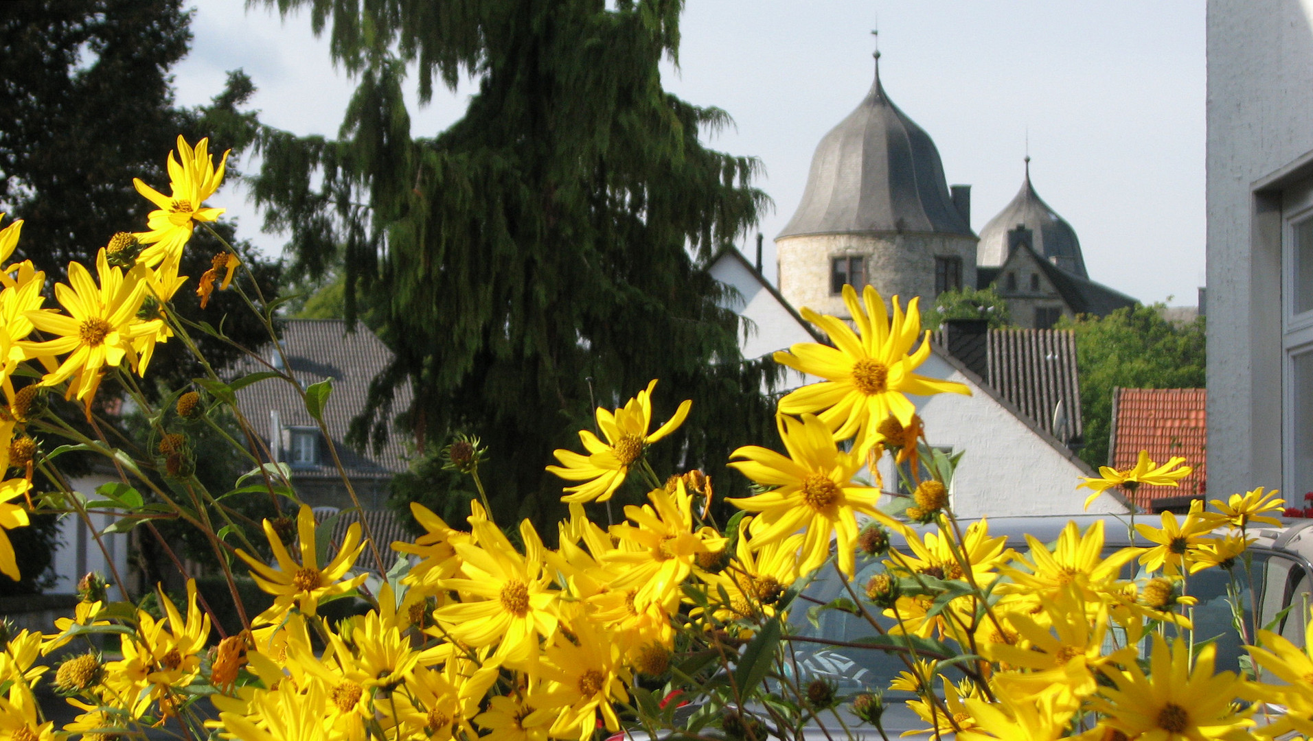 Blick auf die Wewelsburg