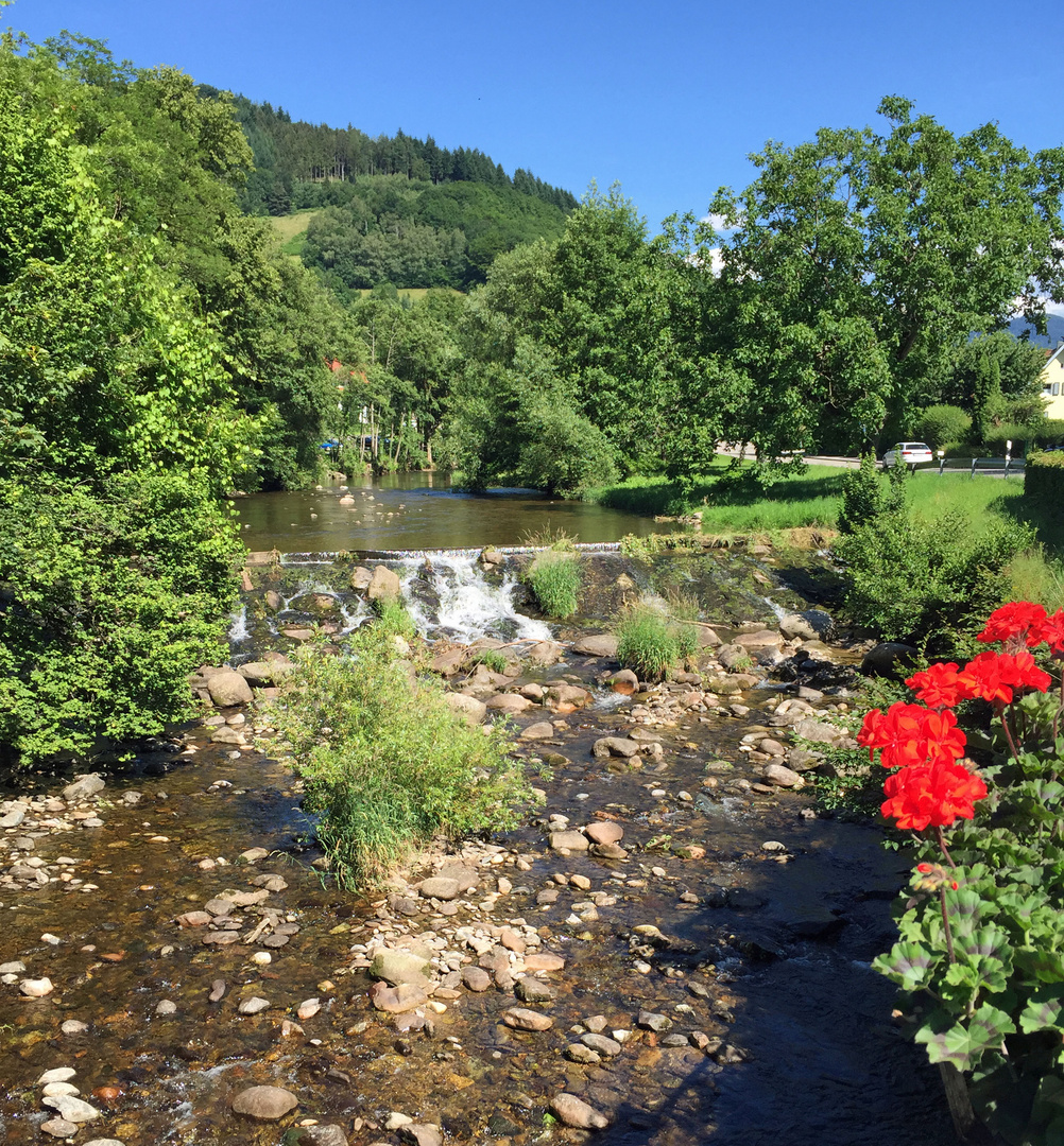 Blick auf die Wilde Gutach in Simonswald