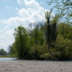 Blick auf die Wolfzahnau