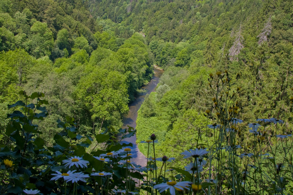 Blick auf die Wutach