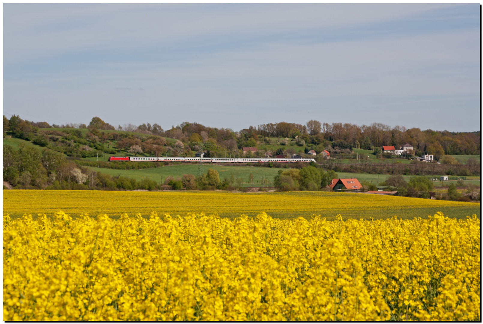 Blick auf die Ziegenbuschhänge zu Oberau