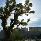 Blick auf die Zitadelle von Calvi