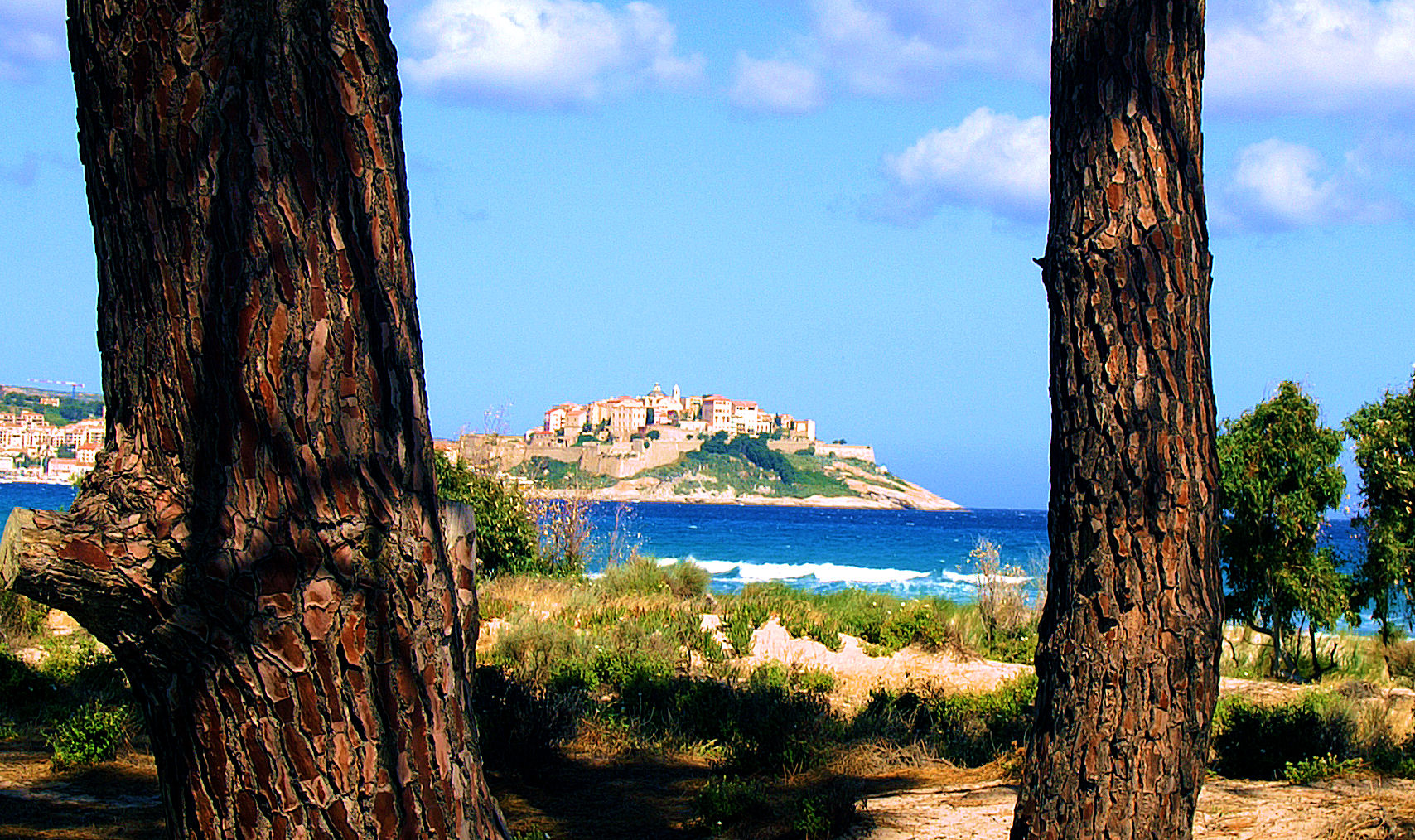 Blick auf die Zitadelle von Calvi