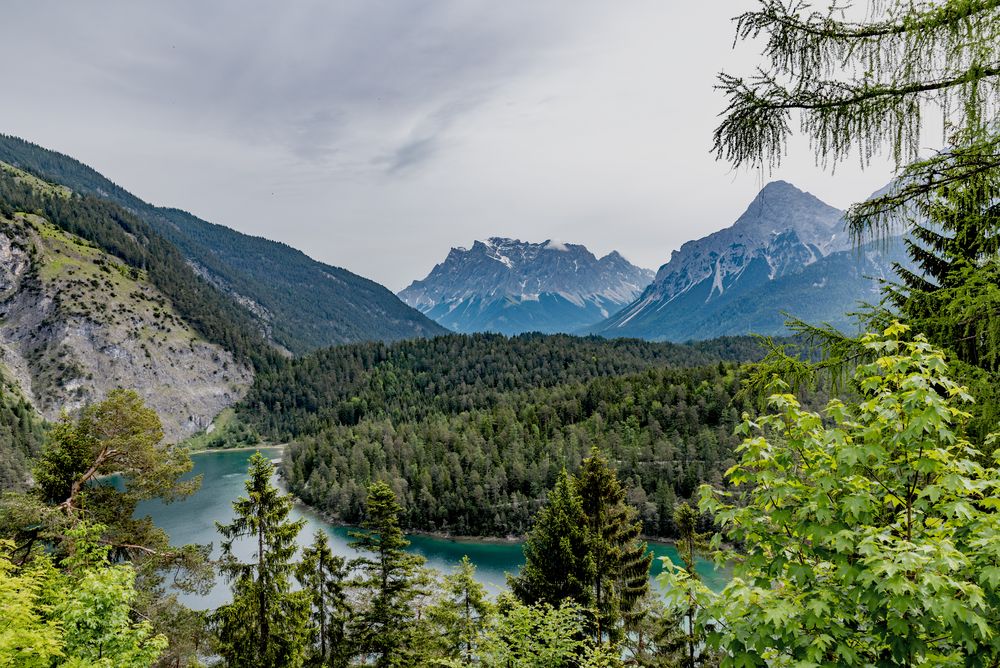 Blick auf die Zugspitze