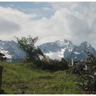 ~ Blick auf die Zugspitze ~