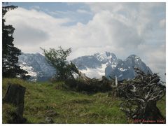 ~ Blick auf die Zugspitze ~