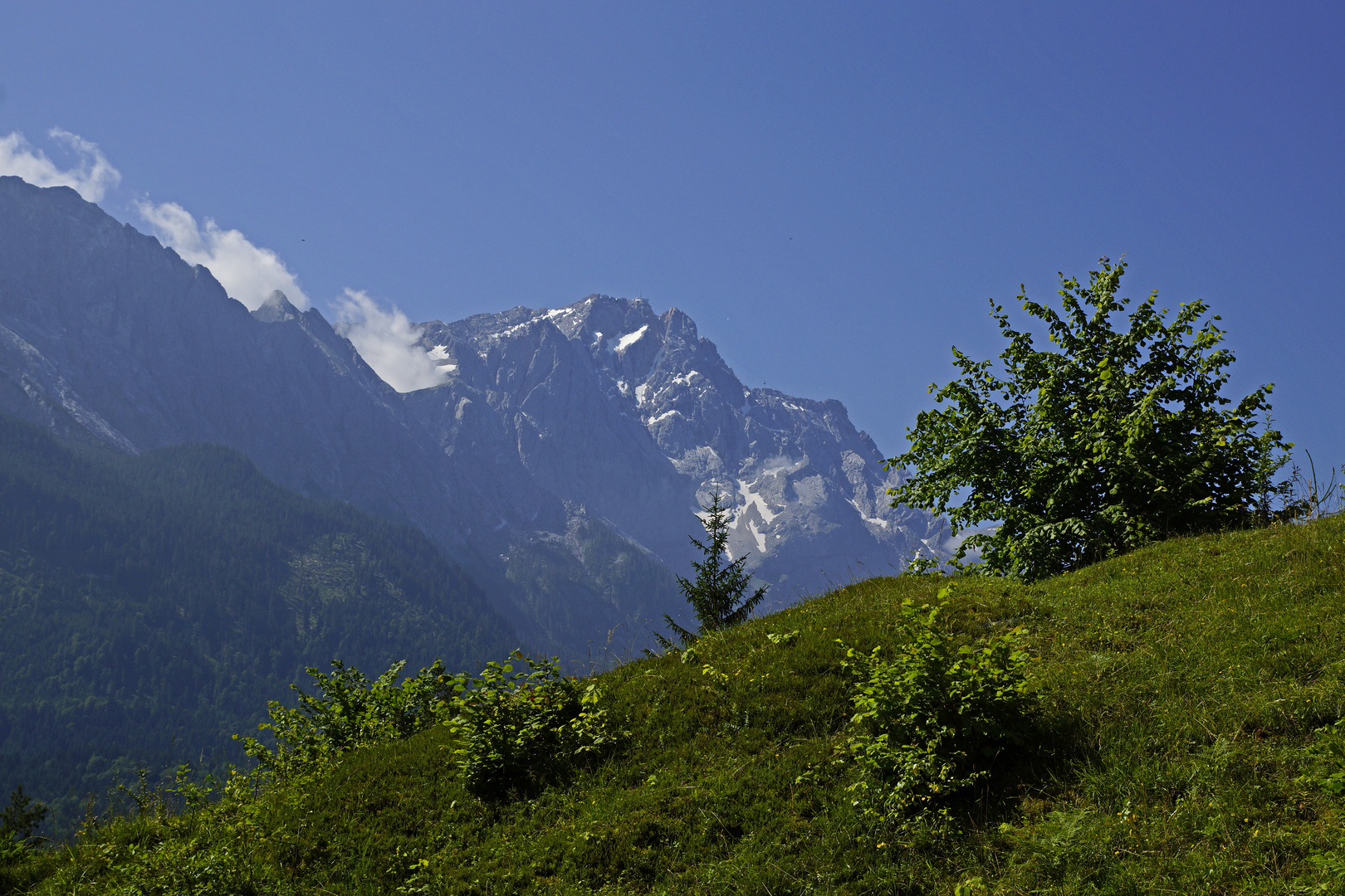 Blick auf die Zugspitze