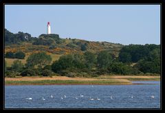 Blick auf Dornbusch mit Leuchtturm