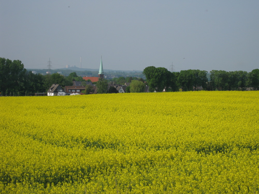 Blick auf Dortmund Asseln