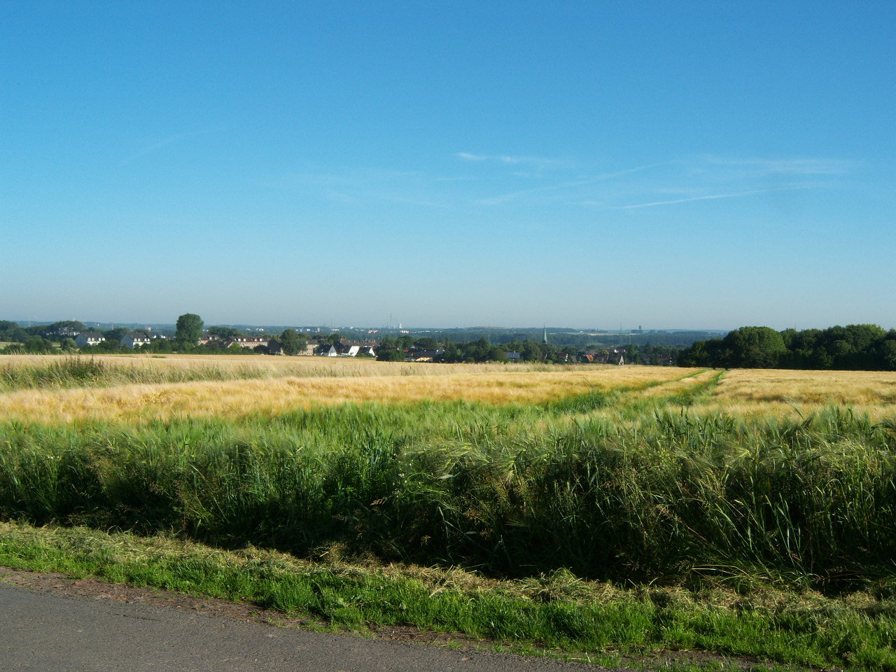 Blick auf Dortmund Asseln