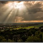 Blick auf Dresden vom Luisenhof