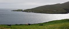 Blick auf Dursey Island