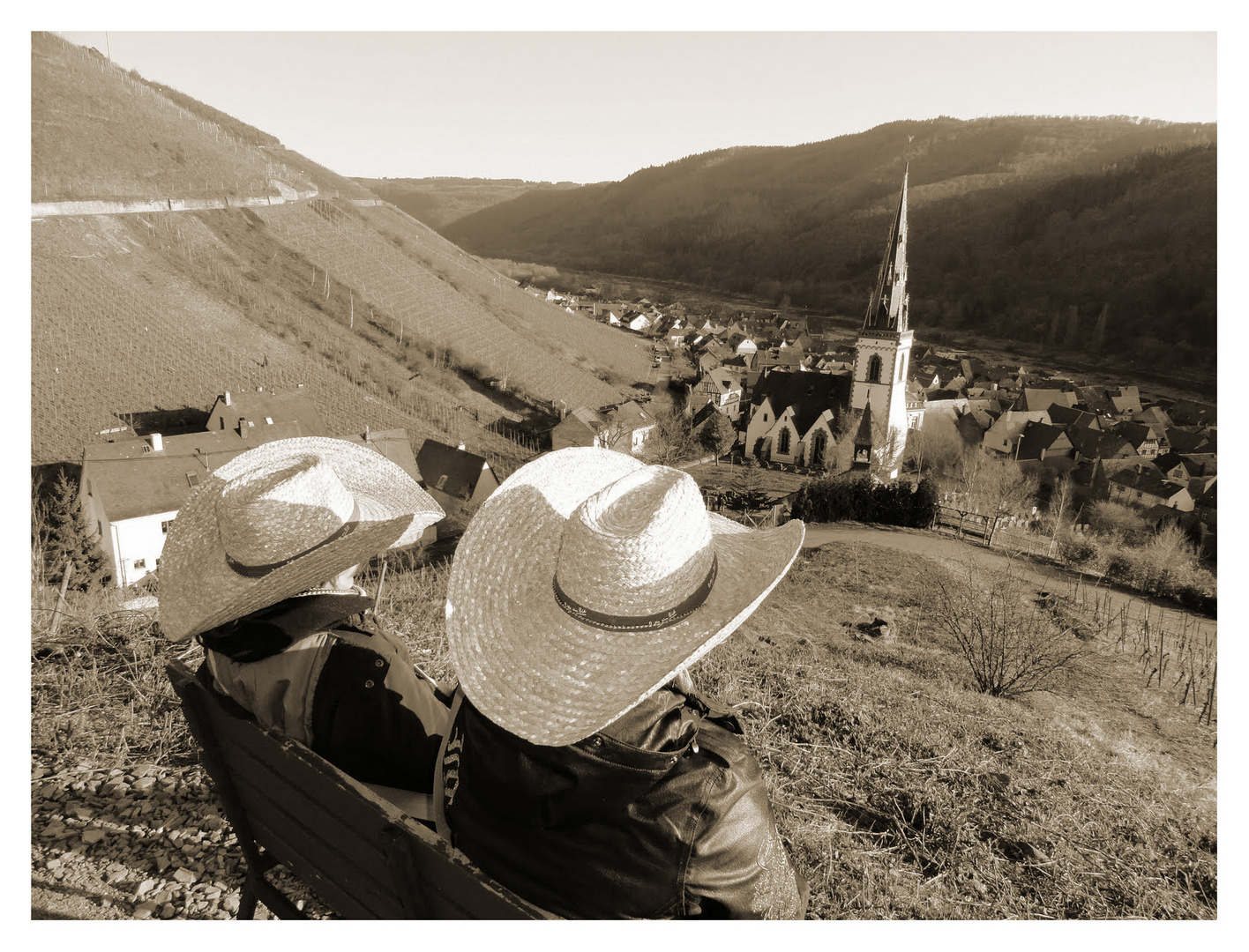 Blick auf Ediger-Eller an der Mosel