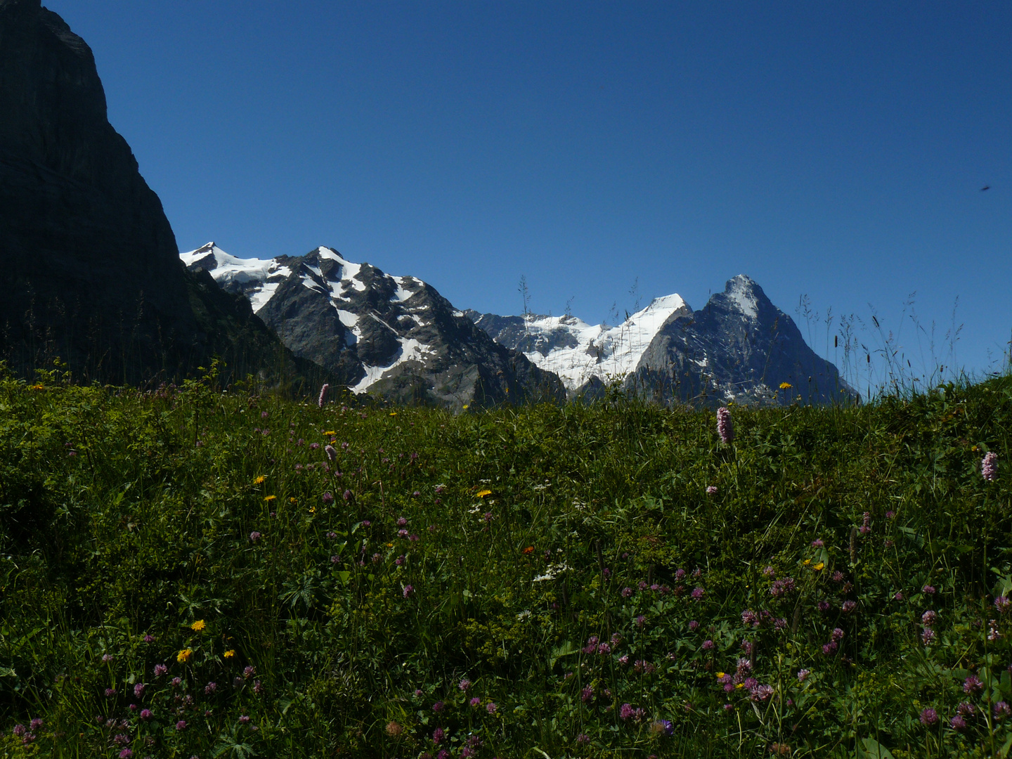 Blick auf Eiger, Mönch u. Jungfrau