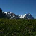 Blick auf Eiger, Mönch u. Jungfrau
