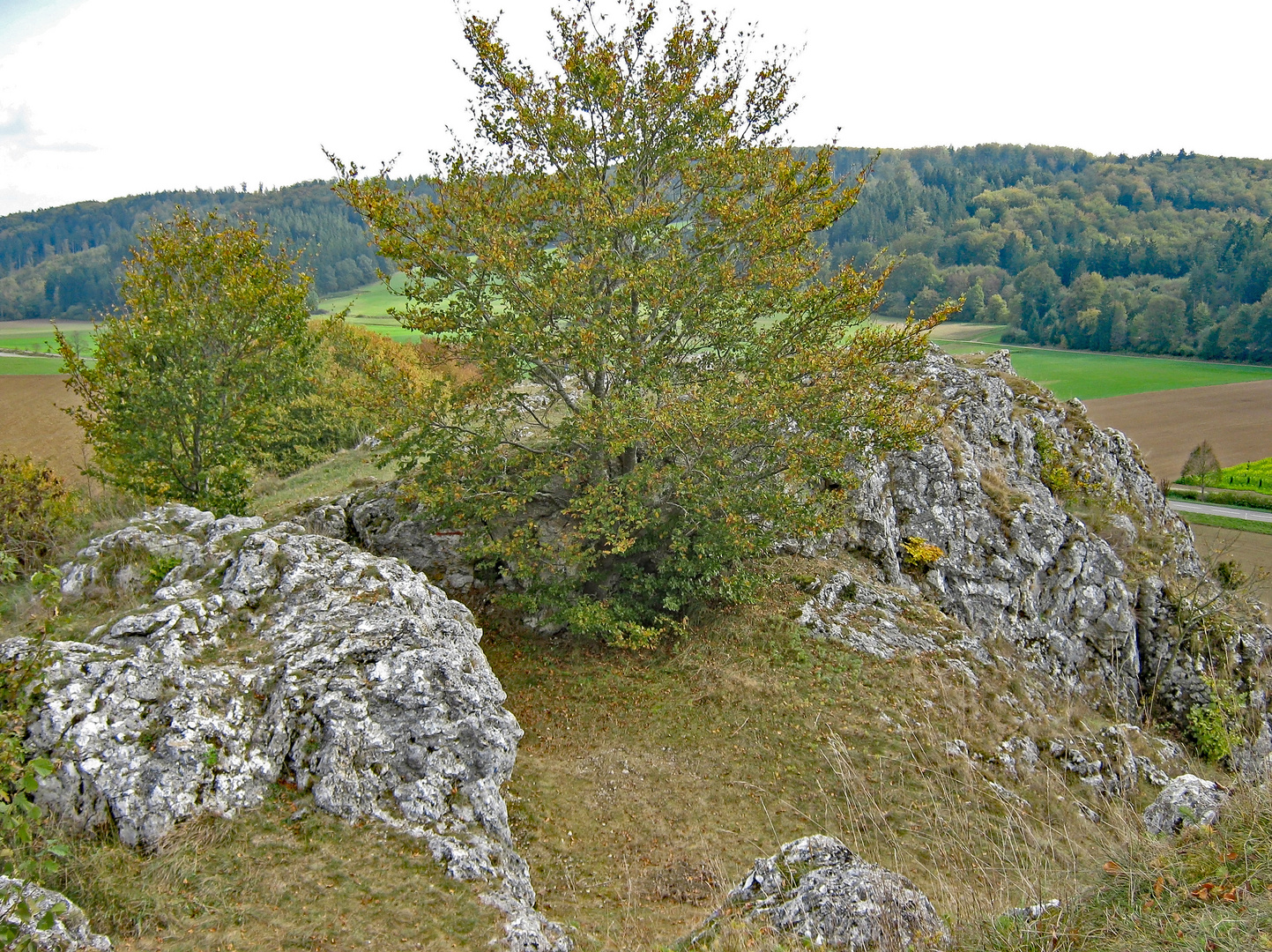 Blick auf ein Detail der Alb