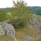 Blick auf ein Detail der Alb