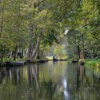 Blick auf ein Fließ bei Lübbenau/Lehde im Spreewald