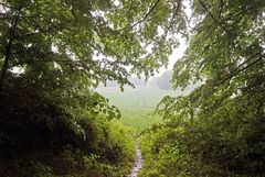 Blick auf ein regenasses Feld