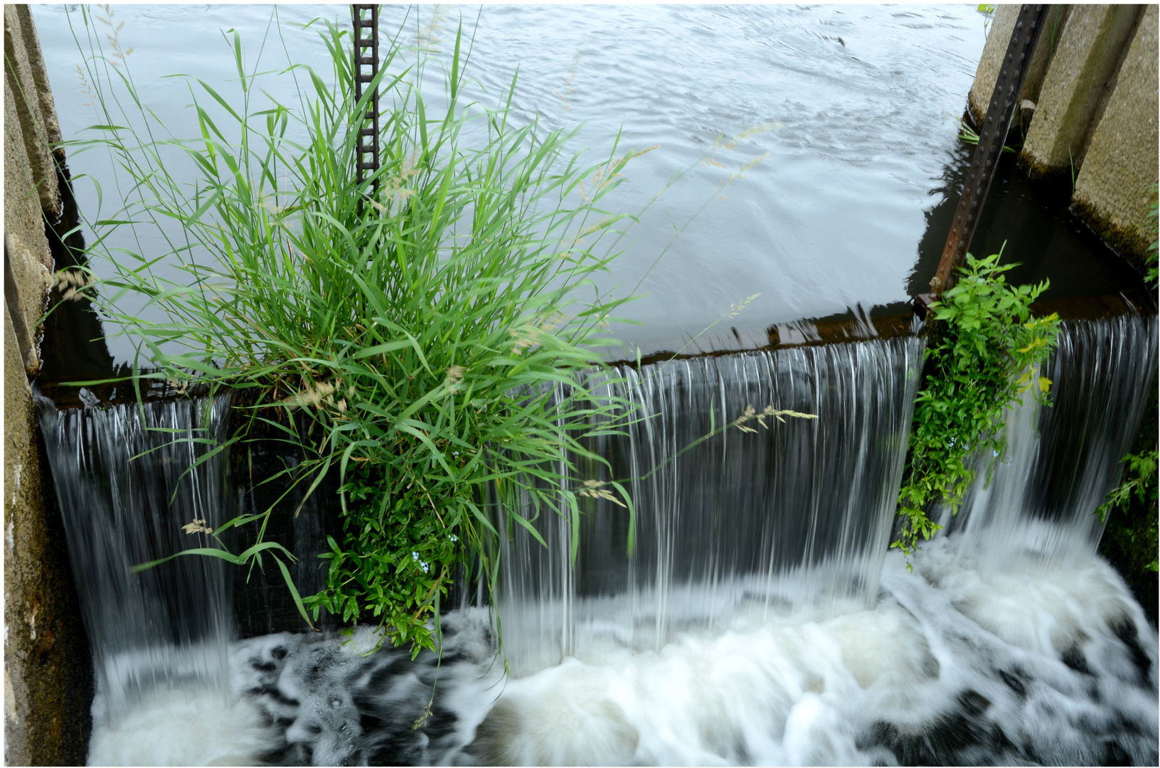 Blick auf ein Wehr im Spreewald