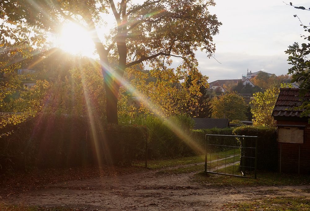 Blick auf eine Gartenanlage Foto & Bild world, oktober, europa Bilder