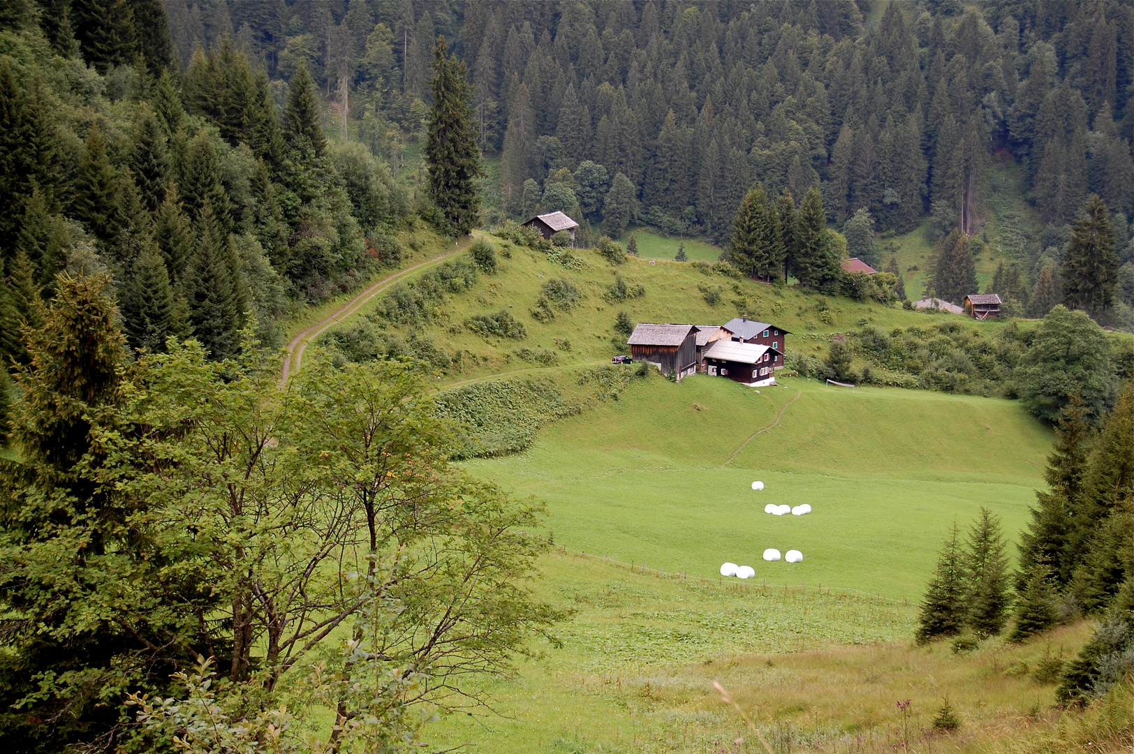 Blick auf einen Bauernhof…