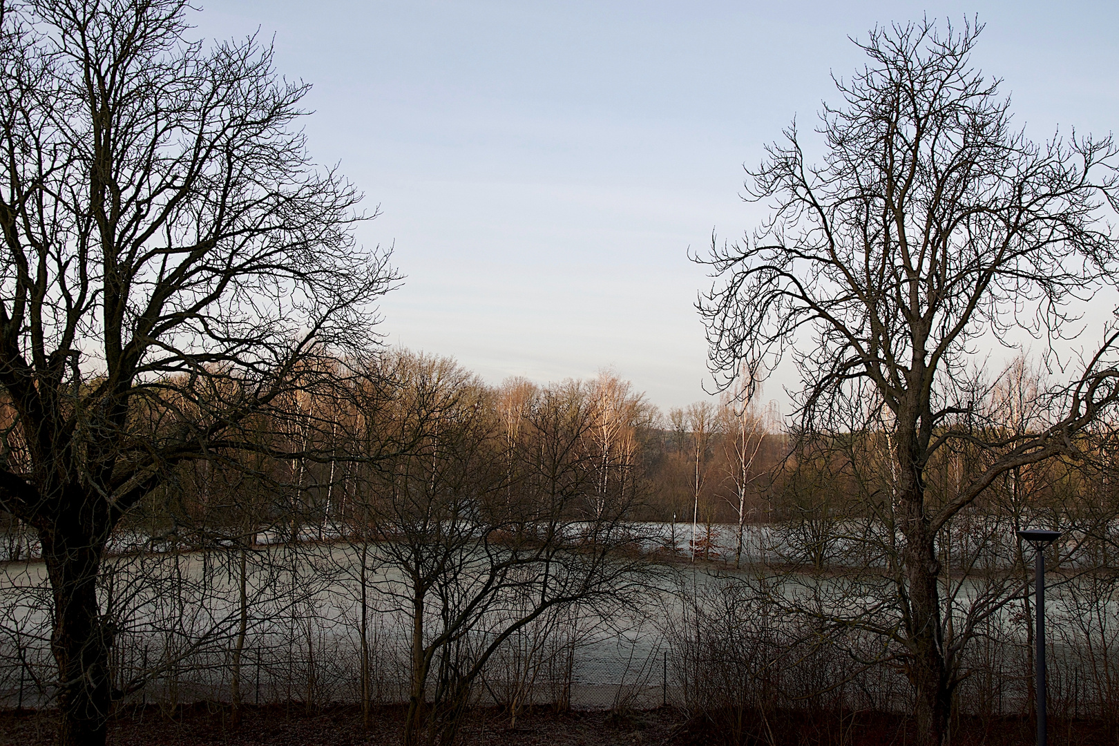 Blick auf einen Golfplatz am 30.1.2019