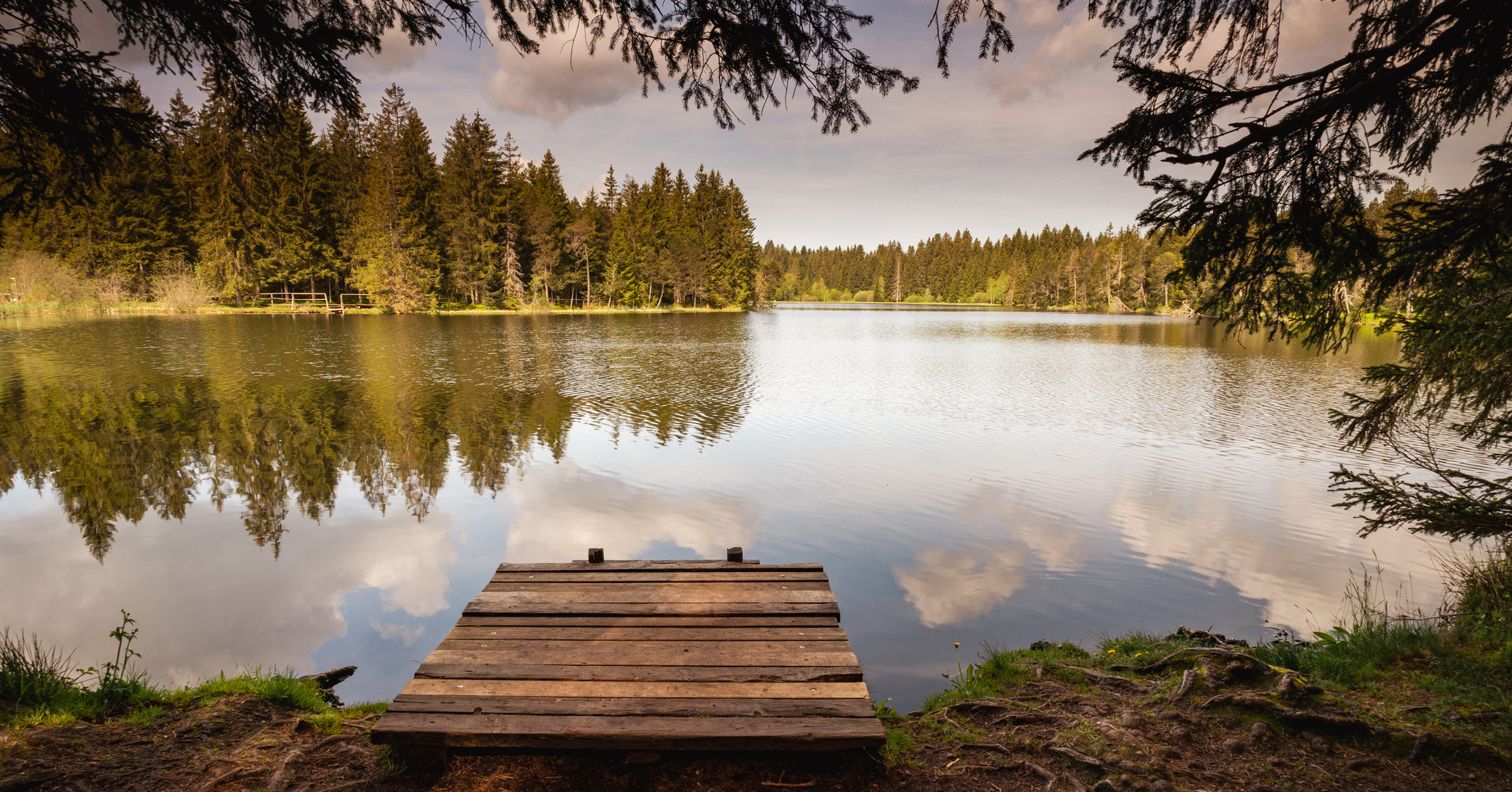 Blick auf einen pittoresken Moorsee