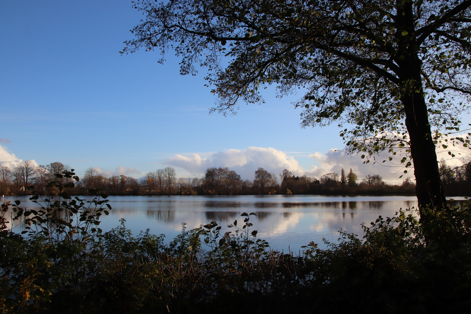 Blick auf einen See