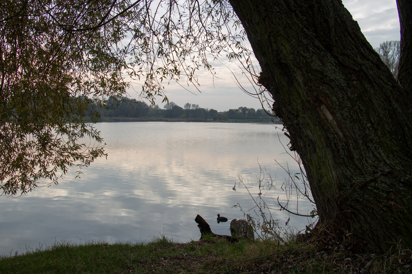 Blick auf einen See im Herbst