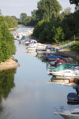 Blick auf einen Seitenarm des Rheins bei Mainz-Kastel