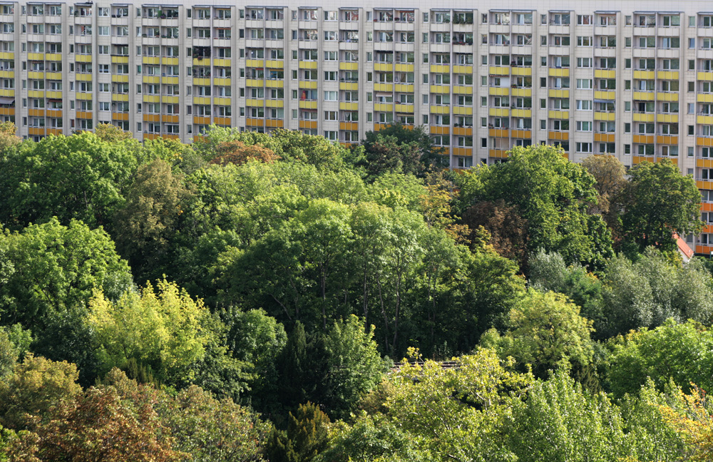 Blick auf einen Teil von Arnstadt